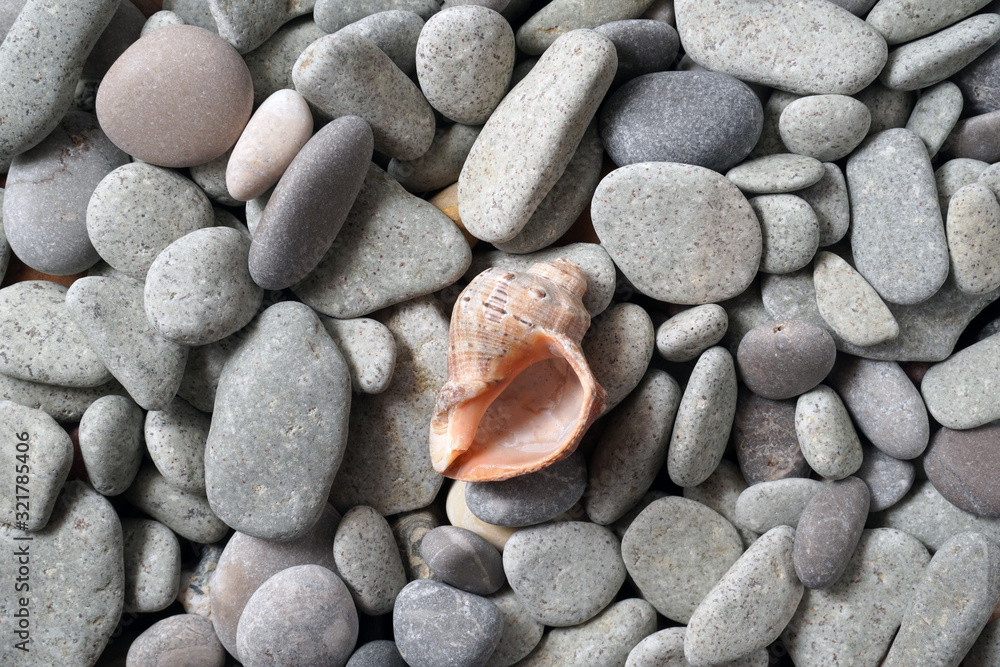 Gravel pattern of colored stones with shell. Abstract nature pebbles background.Small sea stones on the beach, vacation at sea. Top view Gravel pattern of colored stones with shell. Abstract nature pebbles background.Small sea stones on the beach, vacation at sea. Top view
