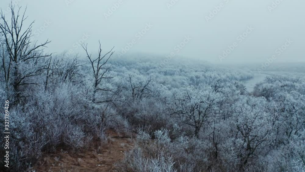 Beautiful winter landscape of nature. White trees covered in hoarfrost in the forest. Calm river among snowy trees of the wood. Beautiful winter landscape of nature. White trees covered in hoarfrost in the forest. Calm river among snowy trees of the wood.