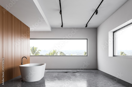 White and wooden loft bathroom interior with tub