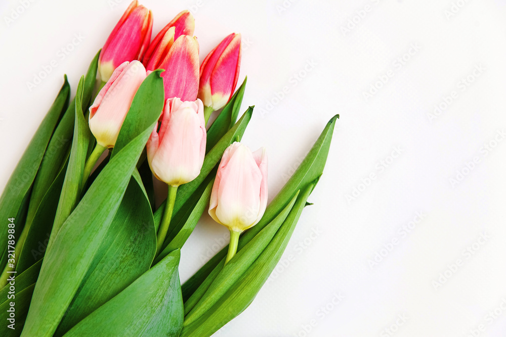 Bouquet of colored tulips on a white background. Spring flowers. Colored tulips, Lovely tulip flowers composition. Valentines Day or Mothers day. International Womens Day March 8.