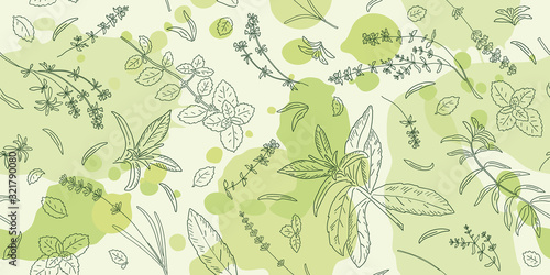 Hand drawn sketch with herbs and plants. Seamless pattern.