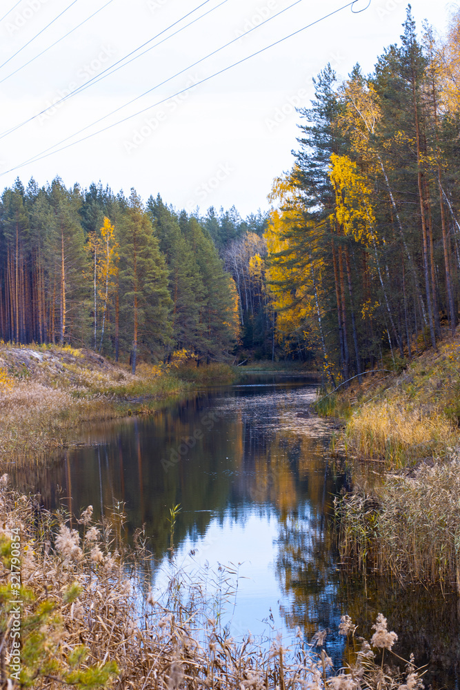 Fototapeta premium Autumn landscape. River and forest in late autumn