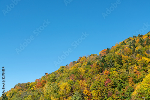 Close up autumn season mountain with clear blue sky background, natural landscape