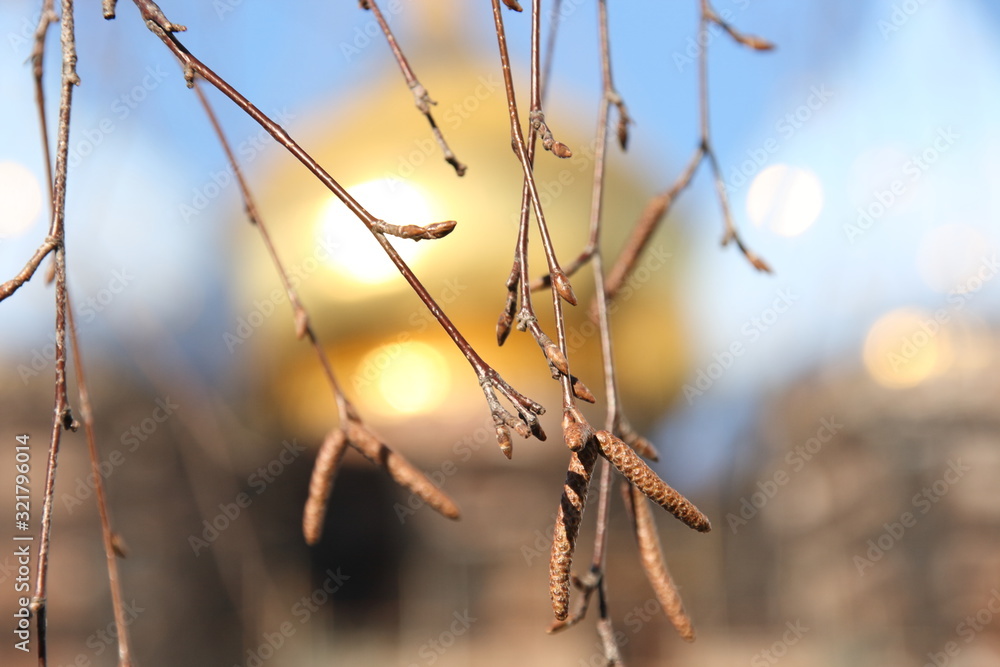 Fototapeta premium Branches of birch buds on the background of domes of blue and gold