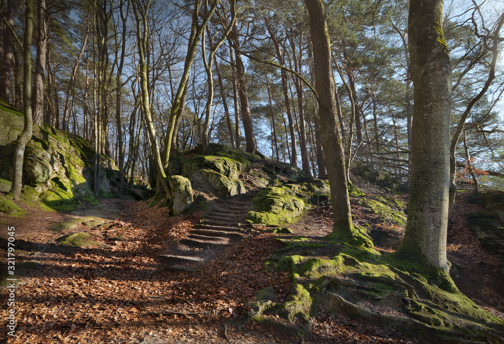 Obraz premium Müllerthal in der Eifel in Luxemburg