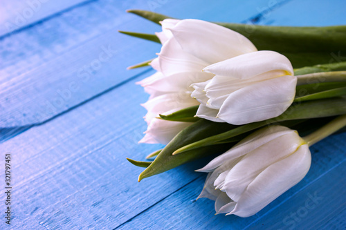 Bouquet of white tulips on a blue table