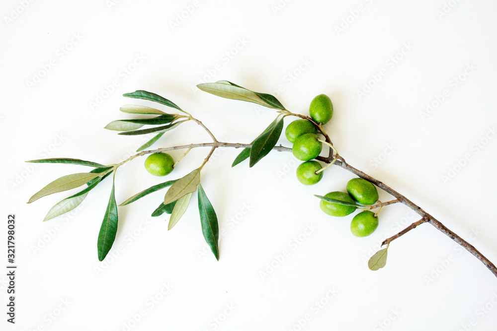 Olive branch with green olives isolated on white background.