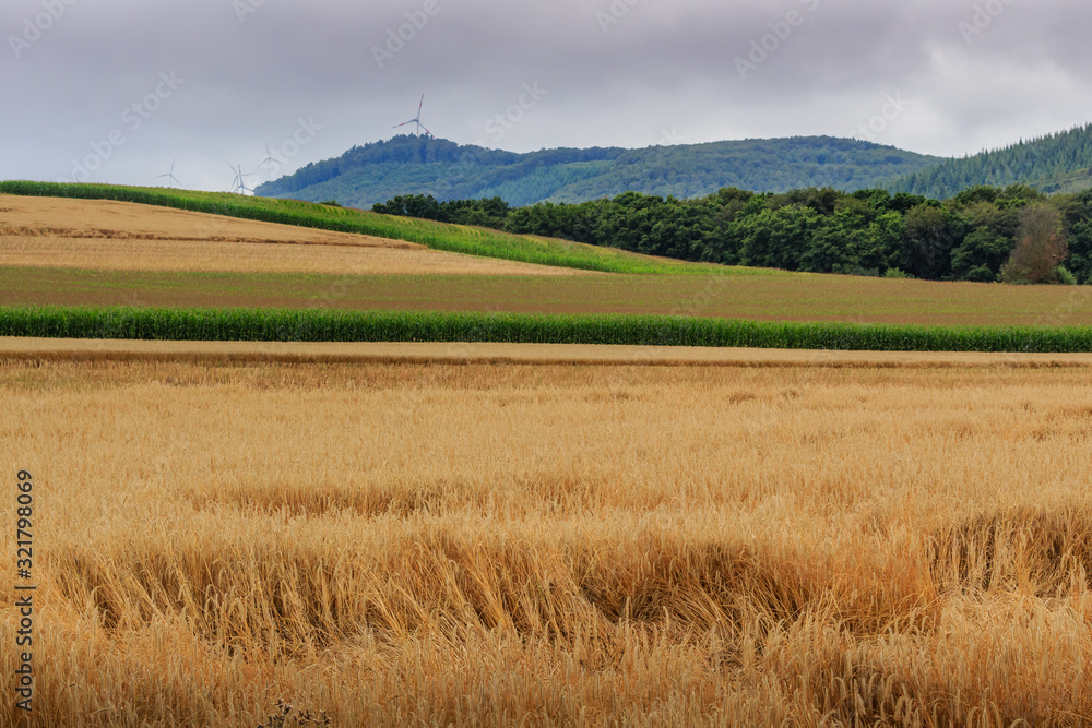 Wheat and other agricultural fields in the foreground, hills with forests and wind turbines in the background near Koblenz in Rhineland-Palatinate, Germany on an overcast day