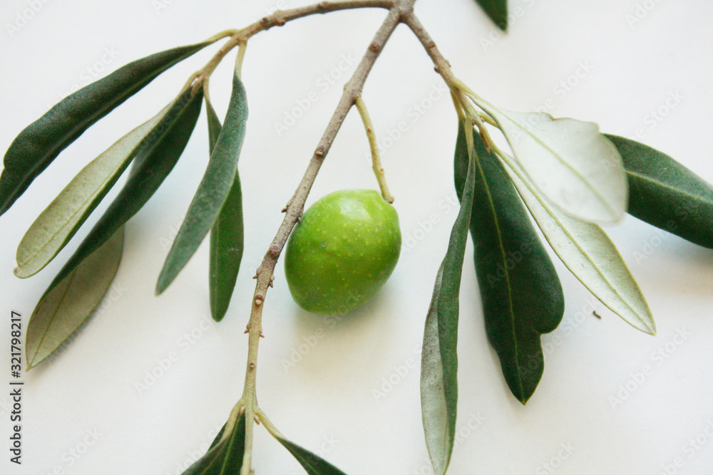 Olive branch with green olives isolated on white background.