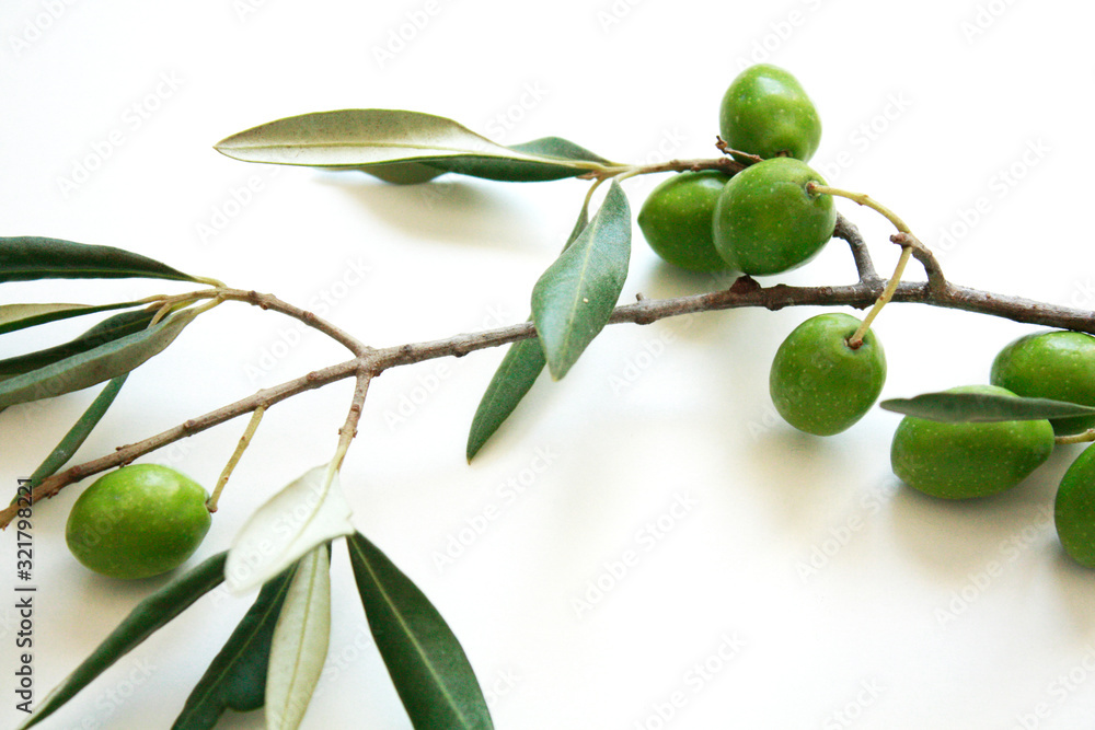 Olive branch with green olives isolated on white background.
