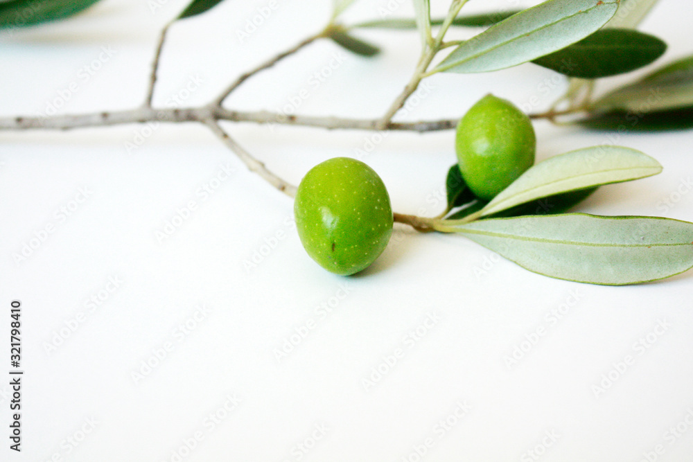Olive branch with green olives isolated on white background.