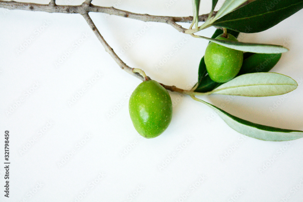 Olive branch with green olives isolated on white background.