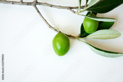 Obraz na płótnie Olive branch with green olives isolated on white background. w salonie