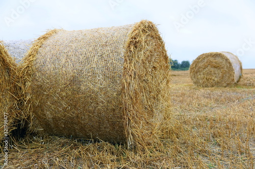 Round bales are neatly stacked on the field, the focus in the center of the bale of straw.