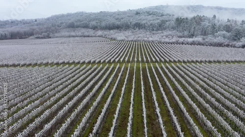 Winter frosty vineyard landscape covered by white flake ice near Harkany