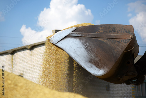 Excavator bucket with grain close-up.