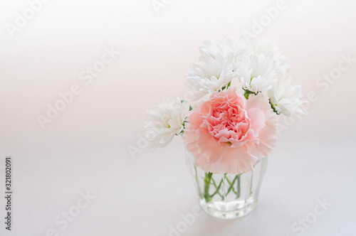 ピンクのカーネーションと白い菊の小さなブーケ 左にコピースペース 白背景 Stock Photo Adobe Stock ピンクのカーネーションと白い菊の小さなブーケ 左にコピースペース 白背景 Stock Photo Adobe Stock