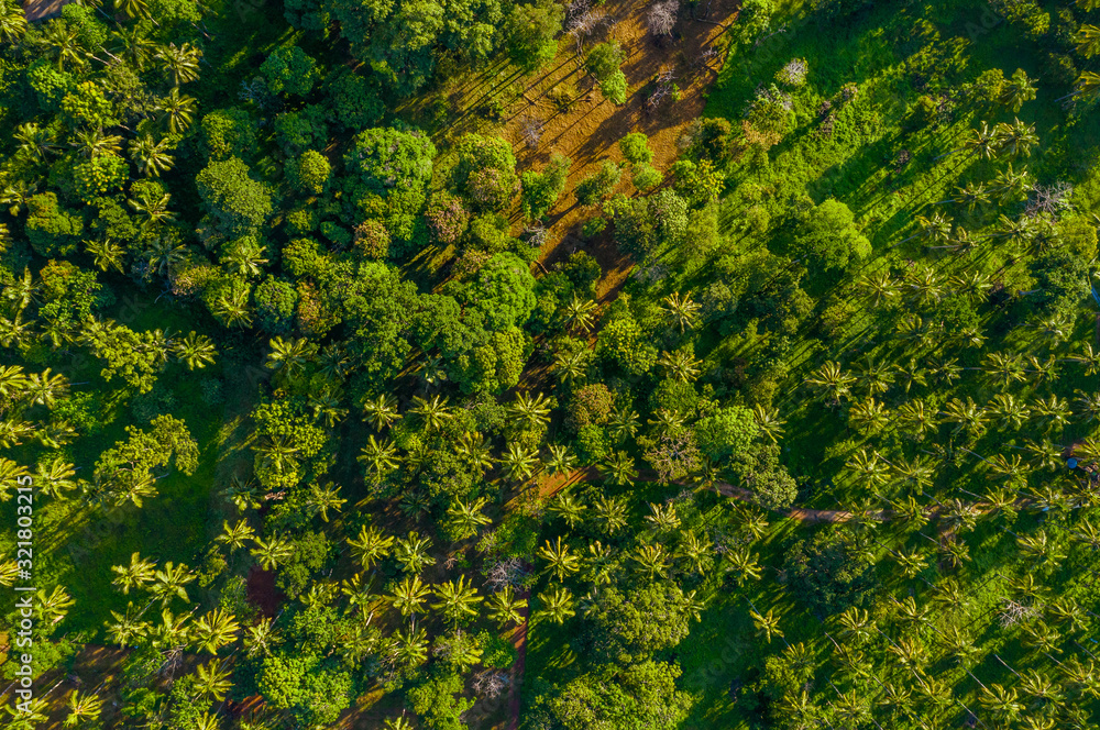 Krabi - Railay beach seen from a drone. One of Thailand's most famous luxurious beach. Krabi - Railay beach seen from a drone. One of Thailand's most famous luxurious beach.