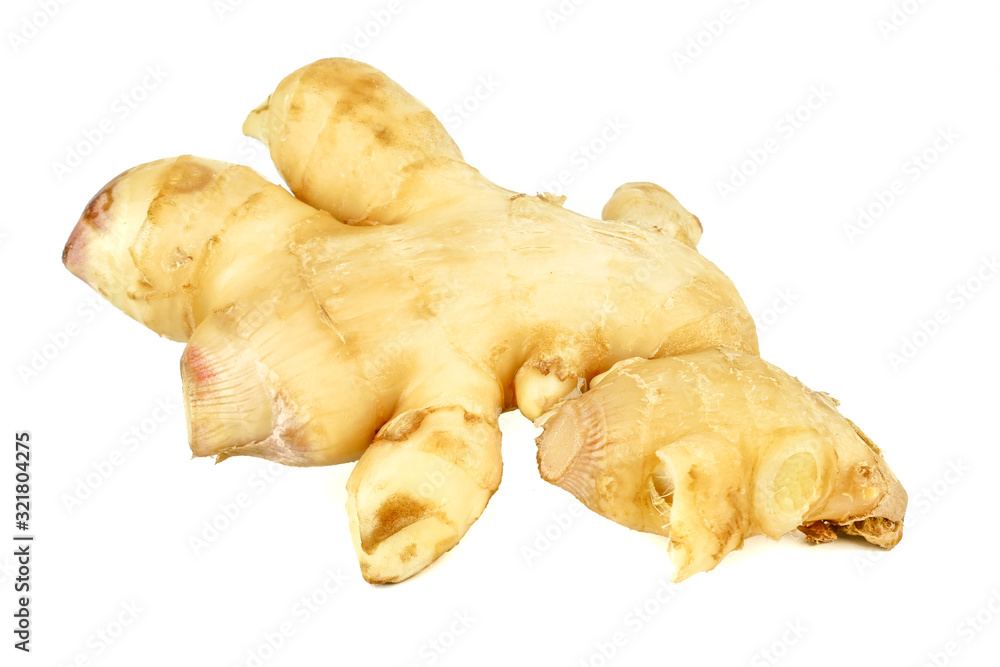 Fresh ginger root or rhizome isolated on white background, Ingredients of herbs for healing and healthy food or Natural therapy concept Fresh ginger root or rhizome isolated on white background, Ingredients of herbs for healing and healthy food or Natural therapy concept