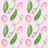 Seamless pattern with tulip spring easter flowers with green leafs. Hand painted Fabric texture with Delicate tulips Watercolor illustration on white background. Spring simbols