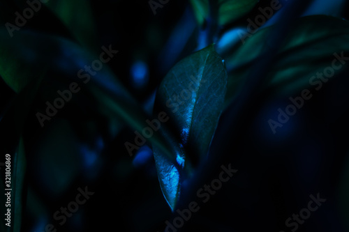 abstract background