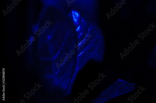 abstract background