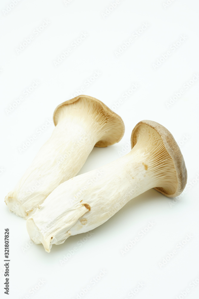 Fototapeta premium エリンギ