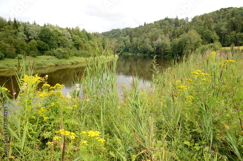 Gauja river in Gauja National Park in Latvia