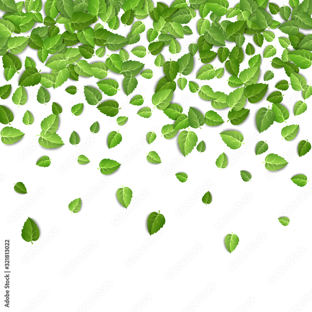 Flying green leaves on white background. Spring leaf pattern on isolated backdrop. Fall fresh leaves plant. Vector illustration closeup Flying green leaves on white background. Spring leaf pattern on isolated backdrop. Fall fresh leaves plant. Vector illustration closeup