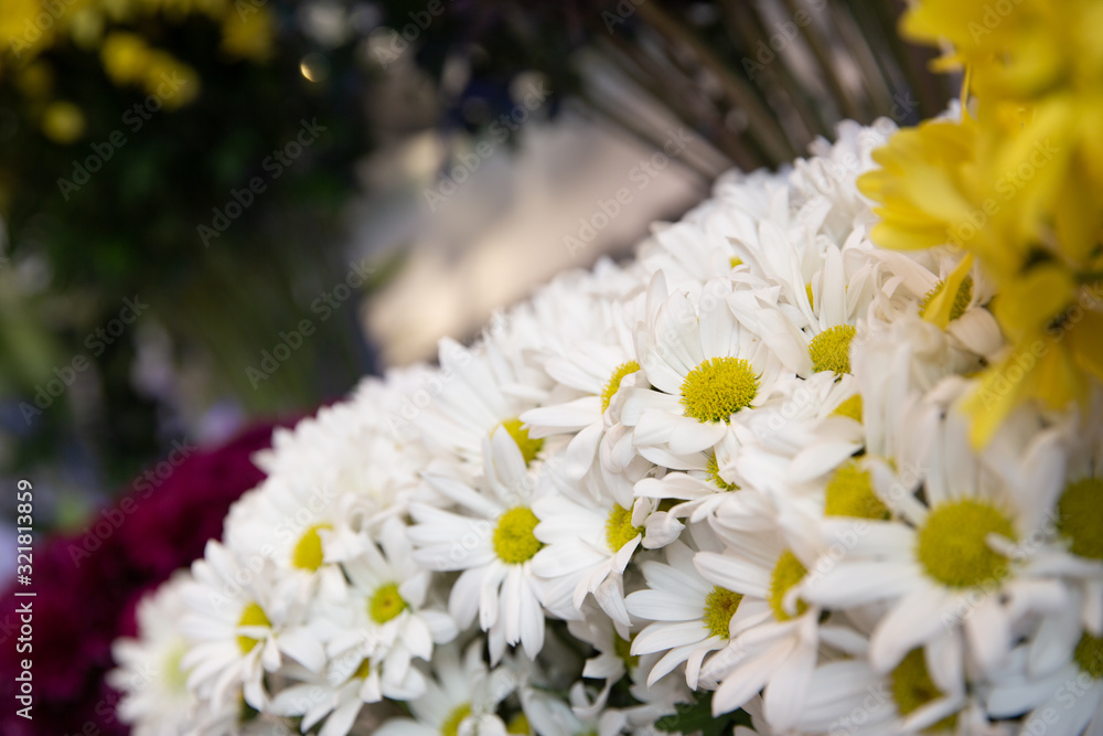 Obraz premium Bouquet with flower blossom. Floral background. Shallow depth photo. Soft toned colors.