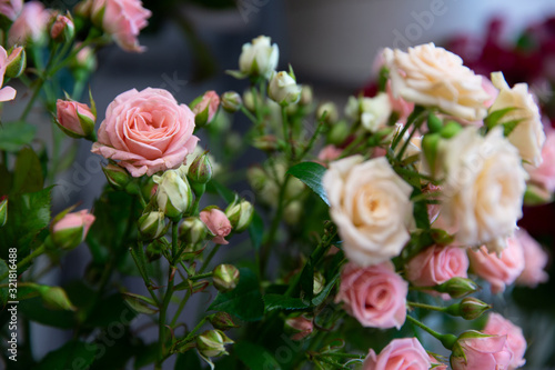 Bouquet with flower blossom. Floral background. Shallow depth photo. Soft toned colors. © Viktorija