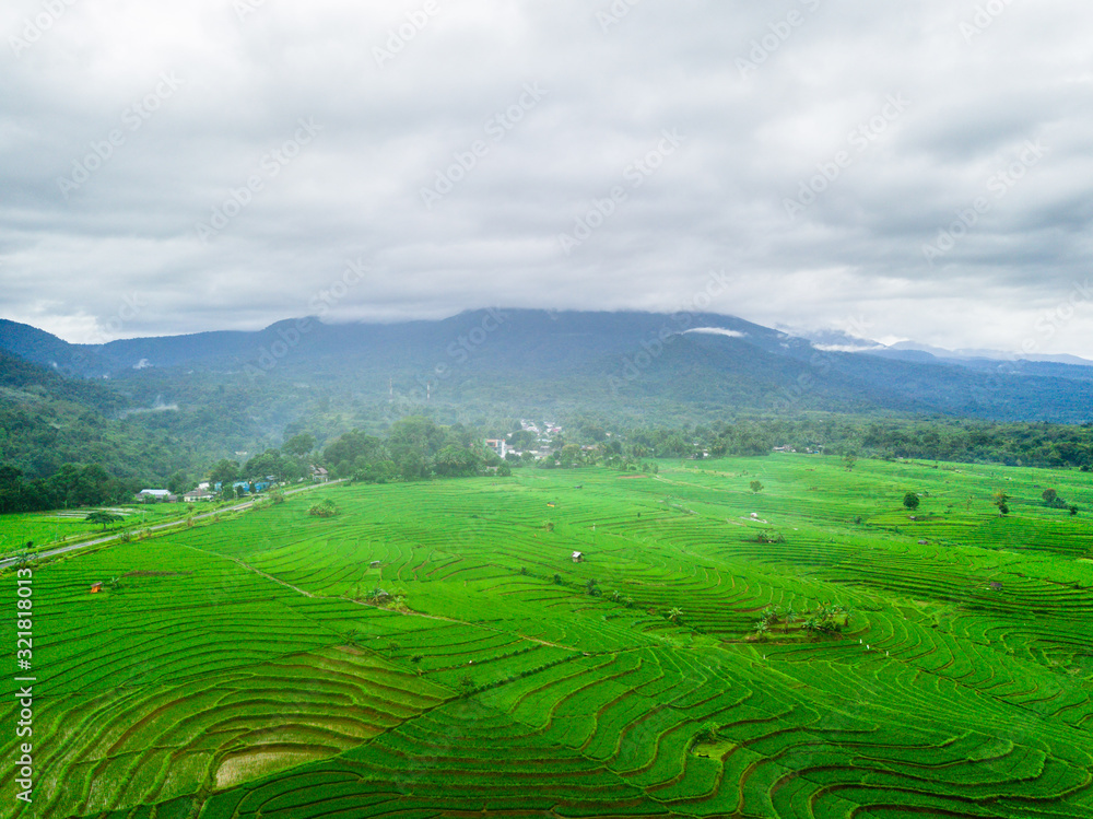 indonesia aerial view of panorama rice fields in north bengkulu, indonesia
