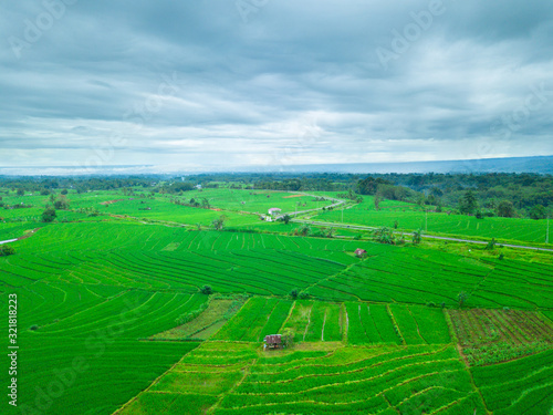 indonesia aerial view of panorama rice fields mountain range
