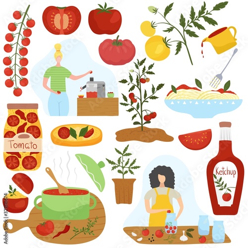 Tomato ingredient in different dishes, home cooking vector illustration. Homemade food, healthy vegetarian dish, Italian cuisine. Set of icons and stickers in modern flat style. Tomato sauce and pasta