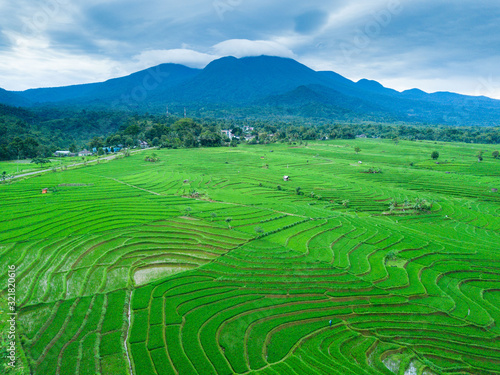 indonesia aerial view of rice fields in asia