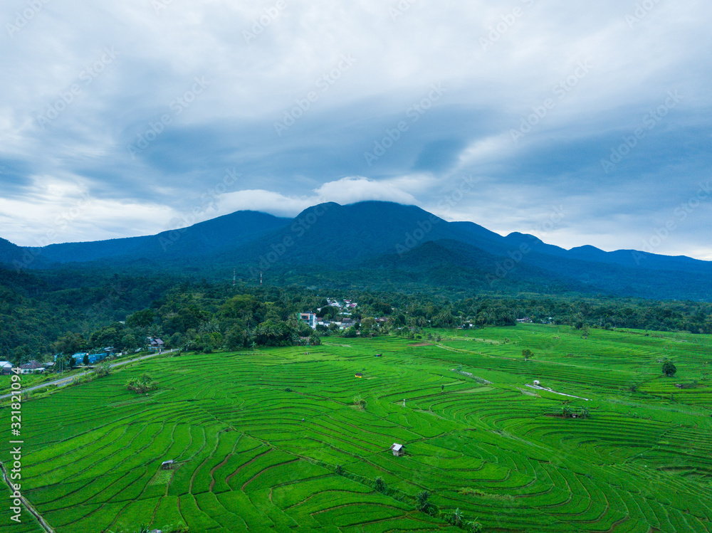 indonesia aerial view of rice fields, abstract green paddy fields terrace