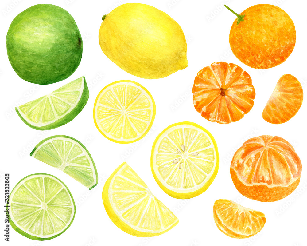 Watercolor fresh lemon, tangerine and lime set. Hand drawn botanical illustration of yellow, orange and green citrus fruits isolated on white background. Clipart for design and decor, package, cards.