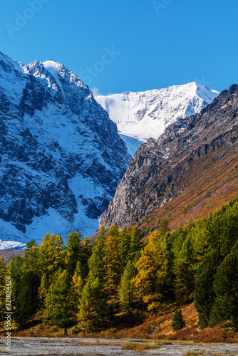 Autumn in the Aktru Valley  North Chuy Range  Altai Republic  Russia