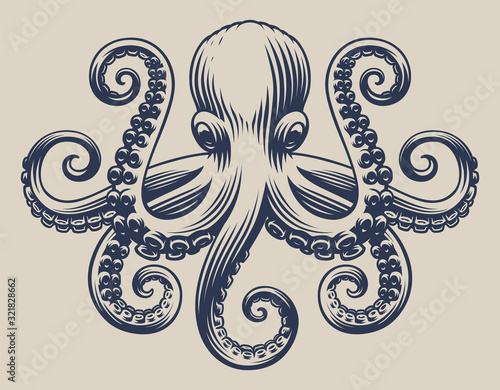 Vintage illustration with an octopus for seafood theme photo