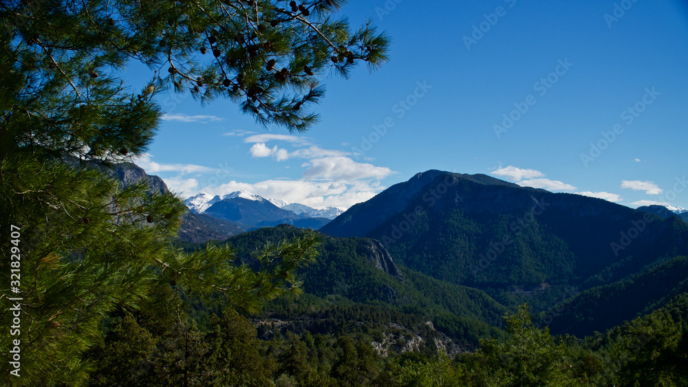 Fototapeta premium Snowy high mountains in winter. Snowy mountains covered with pine forests. Pine forests in the blue sky and white mountains.