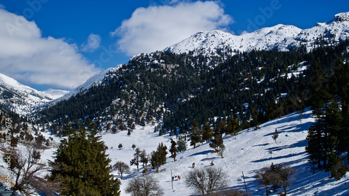 Snowy high mountains in winter. Snowy mountains covered with pine forests. Pine forests in the blue sky and white mountains.