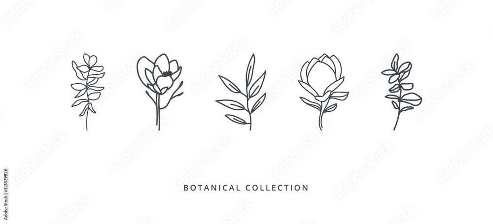 Magnolia, eucalyptus and abstract leaves collection on white background. Doodles and sketches vector illustration design.