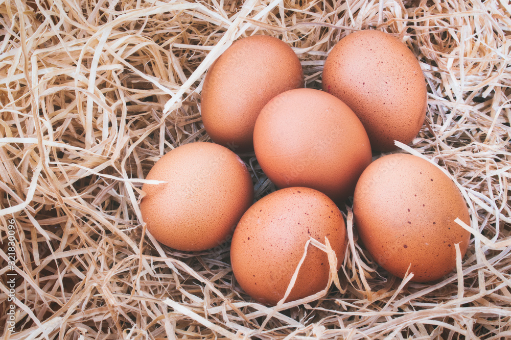Half a dozen freshly laid organic eggs on straw background Half a dozen freshly laid organic eggs on straw background