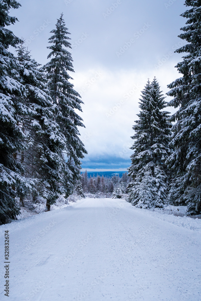 Fototapeta premium Schnee im Harz