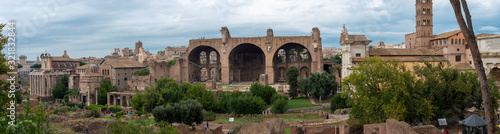 Roman forum and the palatino Panoramic View