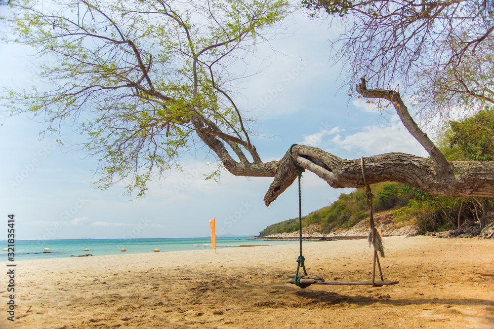 Fototapeta premium Swing on a tree on the beach on a sunny day.