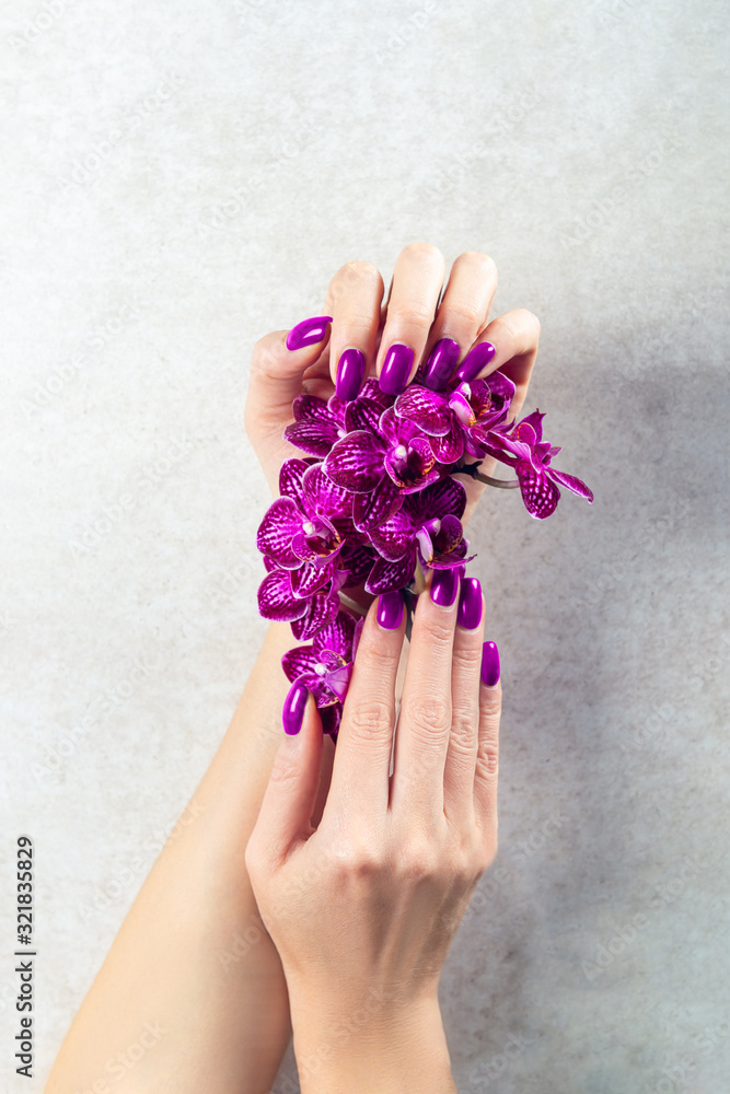 Fototapeta premium Stylish trendy purple female manicure. Woman hands are holding orchid flowers