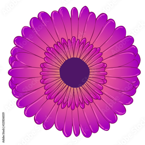 Vector illustration. Purple flower on white background.