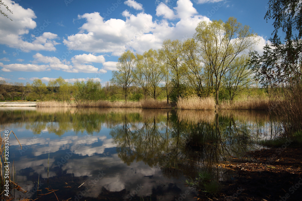 Fototapeta premium landscape with lake and blue sky