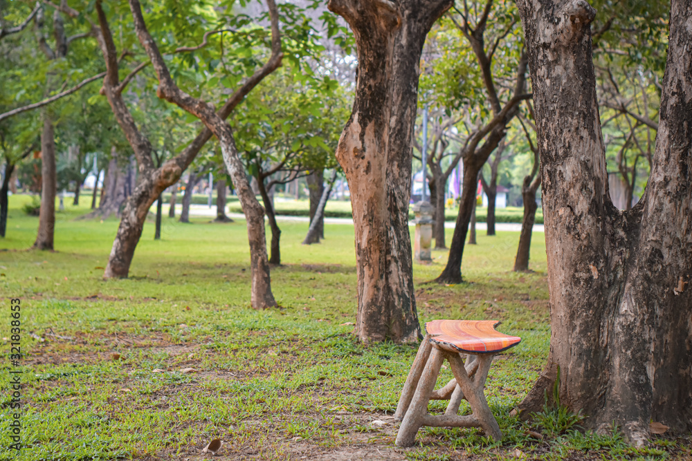 Bench under the tree in the park